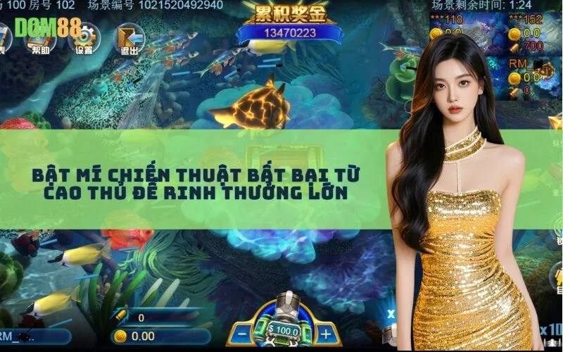 Bật Mí Chiến Thuật Bất Bại Từ Cao Thủ Để Rinh Thưởng Lớn