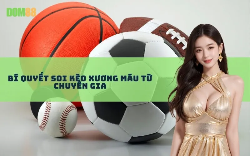 Bí Quyết Soi Kèo Xương Máu Từ Chuyên Gia