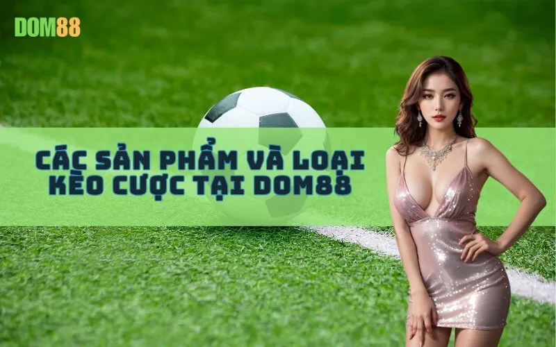 Các Sản Phẩm Và Loại Kèo Cược Tại Dom88