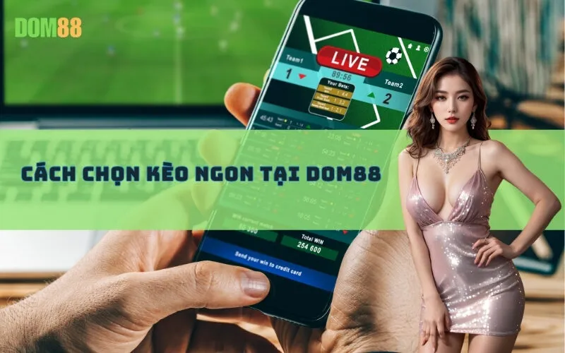 Cách Chọn Kèo Ngon Tại Dom88