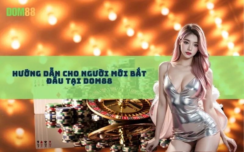 Hướng dẫn cho người mới bắt đầu tại Dom88