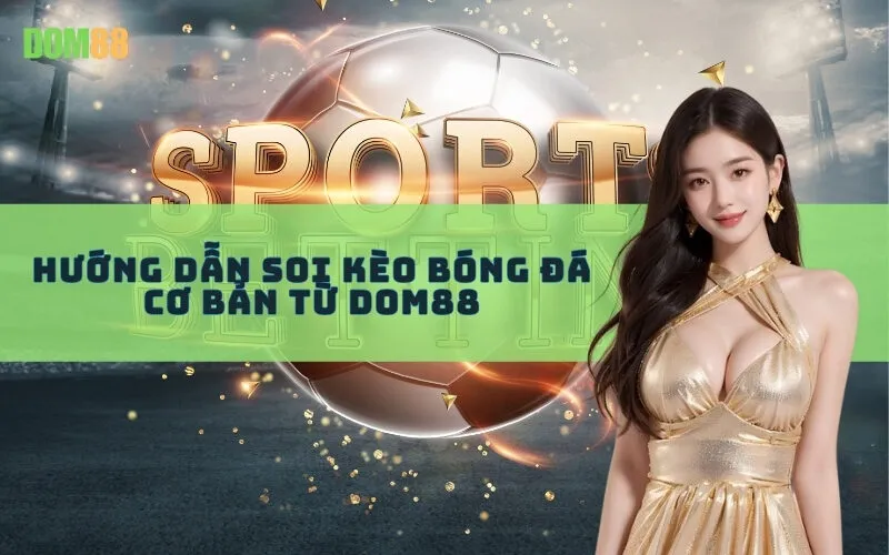 Hướng dẫn soi kèo bóng đá cơ bản từ Dom88
