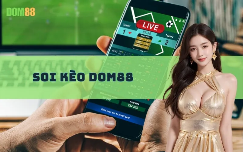 Soi Kèo Dom88