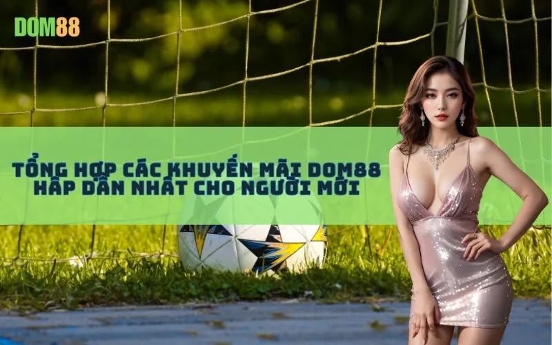 Tổng Hợp Các Khuyến Mãi Dom88 Hấp Dẫn Nhất Cho Người Mới
